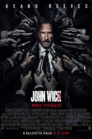 John Wick 2 (2017)